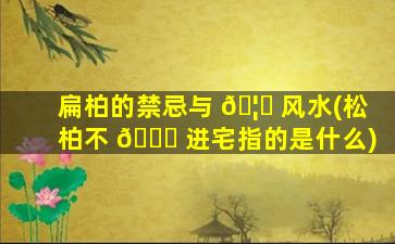 扁柏的禁忌与 🦉 风水(松柏不 🍀 进宅指的是什么)